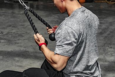 《真女神转生5》恶魔介绍：古波斯契约神密特拉